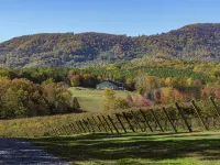 Viognier-Cottage Near Jones Von Drehle with Master Suite Hotel di Traphill