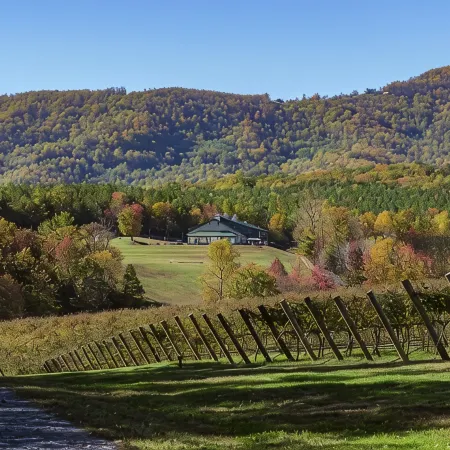 Cabernet Cabin near JVD vineyard
