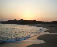 尾江民宿