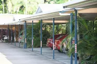 Lazy Lizard Motor Inn - Parkplatz