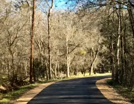 Bella Rosa Cottage - Stroll to Wimberley Square! Cypress Creek just steps away - 4-Star
