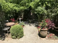 Einstein Lounge in Downtown - 2 BR w Loft and Fenced Yard - 3-Star