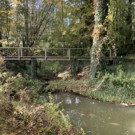 Conneaut Creek Cottage