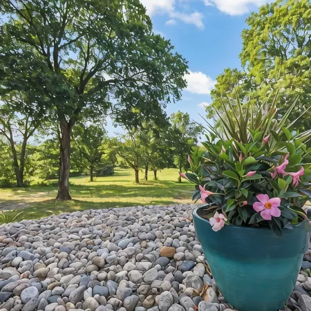 Tranquil Wooded Retreat Overlooking Truman Lake only 2 minutes from Warsaw, MO