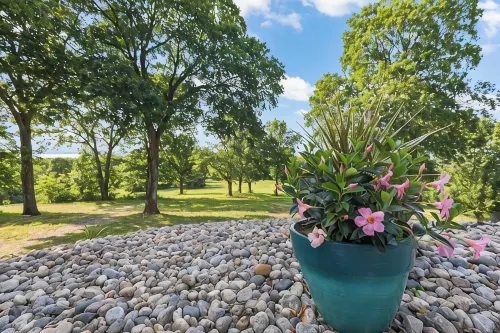 Tranquil Wooded Retreat Overlooking Truman Lake only 2 minutes from Warsaw, MO