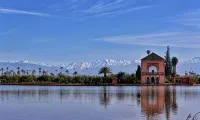 Dar Baddi