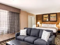 Quality Inn & Suites Plano East - Richardson Hotels in Collin County