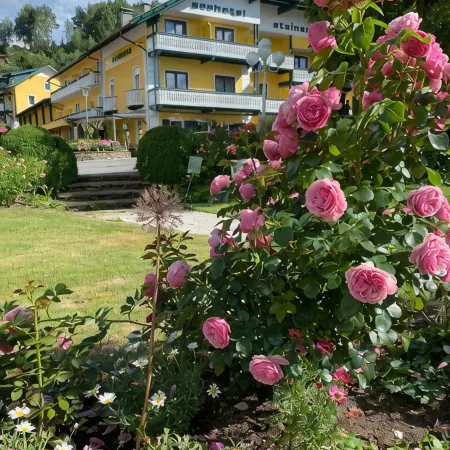 Seehotel Steiner