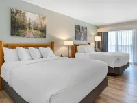 Three Bears Resort Waterpark Near Tomah Ascend Collection Hotels in Monroe County