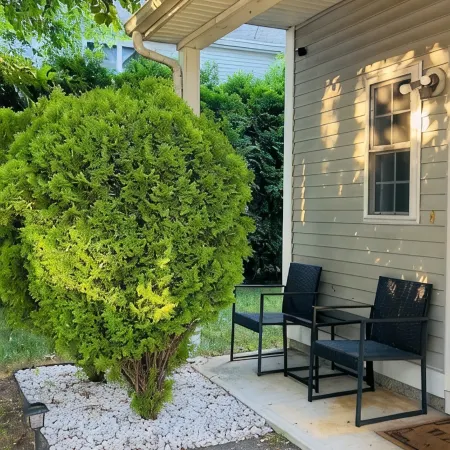 Charming 3 bedroom home Centrally located in Worcester