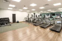 Holiday Inn Express & Suites AUBURN by IHG
