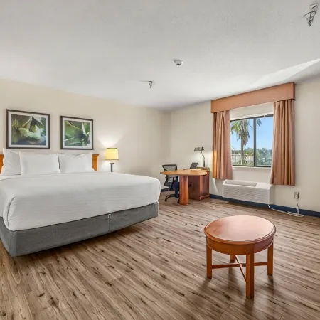 La Quinta Inn & Suites by Wyndham Tampa Brandon West