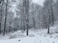 Mountain Forest Retreat w Cedar Hot Tub - Western Catskills - Boutique