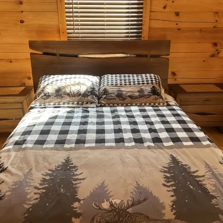 Cozy Log Home