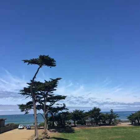 Beachfront home directly across from beach & park! Close to everything!