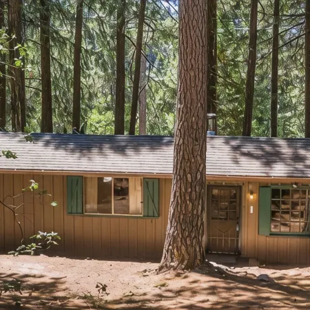 The Little Cabin in the Pines!
