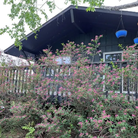 Gorgeous Chippewa Forest and Little Sand Lake @ backyard of this beautiful Cabin