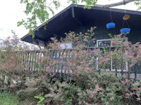 Gorgeous Chippewa Forest and Little Sand Lake @ backyard of this beautiful Cabin - Alppimaja