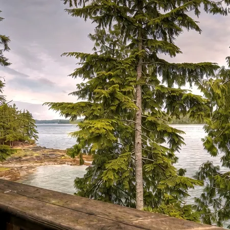 Waters Edge Shoreside Suites