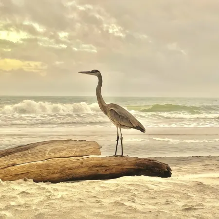 Beachfront & Beautiful - Spacious 3BR/2BA On Dauphin Island - Amazing Amenities