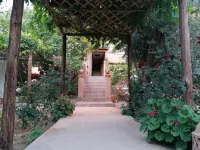 Riad Tazawa - Pet Friendly