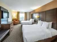 Comfort Inn & Suites - Wifi