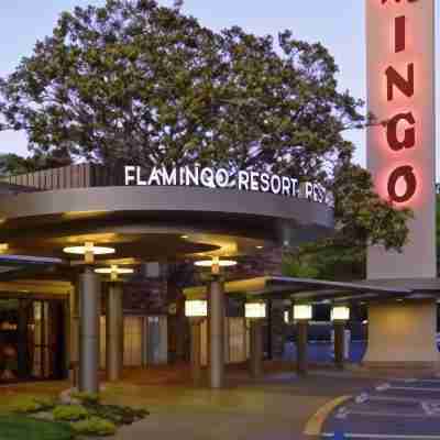 Flamingo Resort & Spa Hotel Exterior