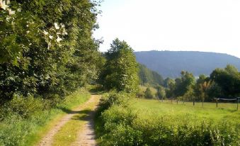 Gasthof Erlenhof