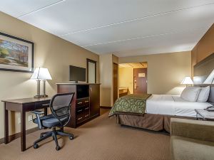 Quality Inn Tully I-81