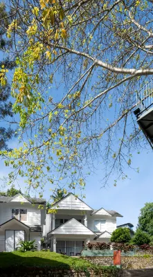 Eden Woods Resorts & Spa