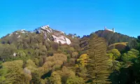 Al Penaferrim Sintra Rooms فنادق في Sao Pedro de Penaferrim