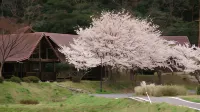 Hotel Uneri Hotels in Okinoshima