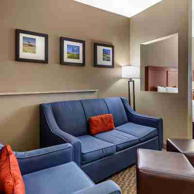 Comfort Suites Near Texas A&M Corpus Christi Rooms
