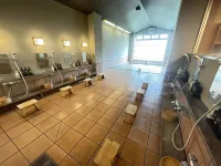 Ryokan Ichinomatsu - Hot Springs