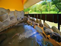 Classic Inn ROBIN'SSON Hotels in Kitashiobara