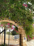 Marquis Blue Hotel Hotels in İslamlar Mahallesi
