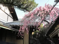 ゲストハウス 奈良バックパッカーズ Guesthouse Nara Backpackers - ホステル