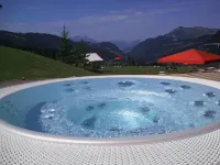 Le Lodge Chasse Montagne Hotels in Les Gets