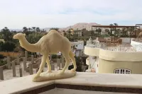 Morning Star Apartment Hotels in Al Bairat