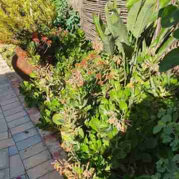 Hillscapes Guesthouse Hotel Exterior