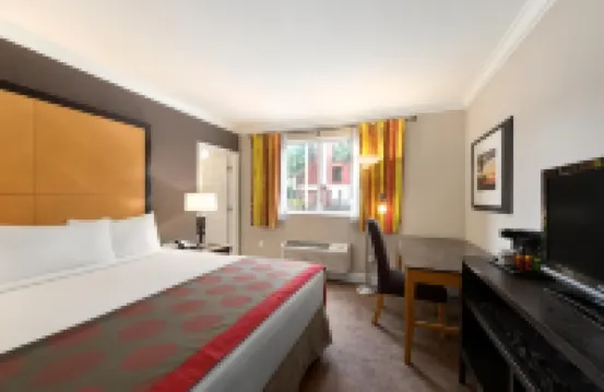 邁阿密温泉/邁阿密國際機場華美達酒店