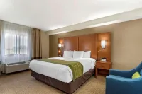 Comfort Inn & Suites - Near Robins Air Force Base Main Gate Hotels in Warner Robins