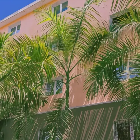 Hotel Marimba Punta Cana