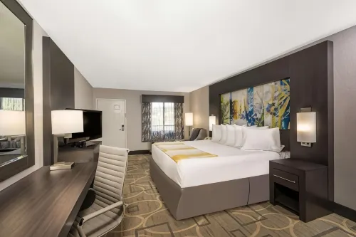 Days Inn by Wyndham Asheville Downtown North Hotels in Reems Creek