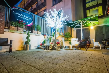 조지 라임릭 호텔