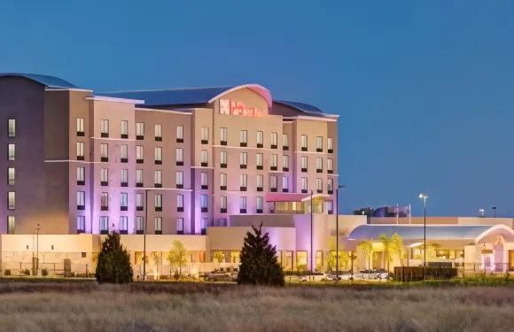 希爾頓花園旅館-達拉斯南阿林頓