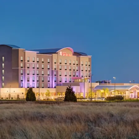 Hilton Garden Inn Dallas/Arlington South