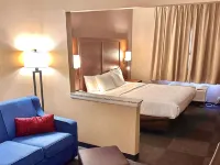 Baymont by Wyndham Phoenix North Hotels near North Mountain