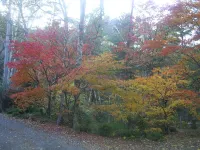 Ryokan Sansui Hotels in Kiso Town