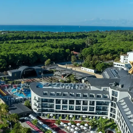 The X Belek
